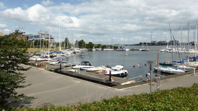 P1010127 - Kopie.JPG